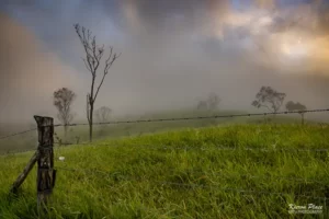 Foggy Morning Over Grass Hills